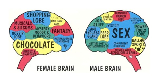 9 เรื่องน่ารู้ สมองของผู้หญิง 2