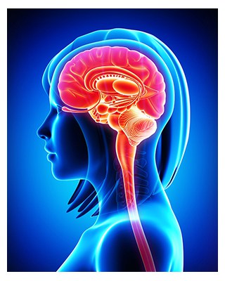 19 เรื่องน่ารู้ สมองของผู้หญิง