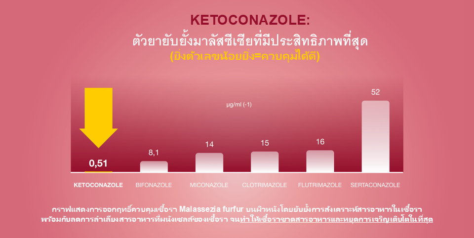 malassezia ketoconazole